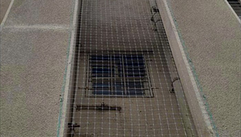 bird net in balcony

